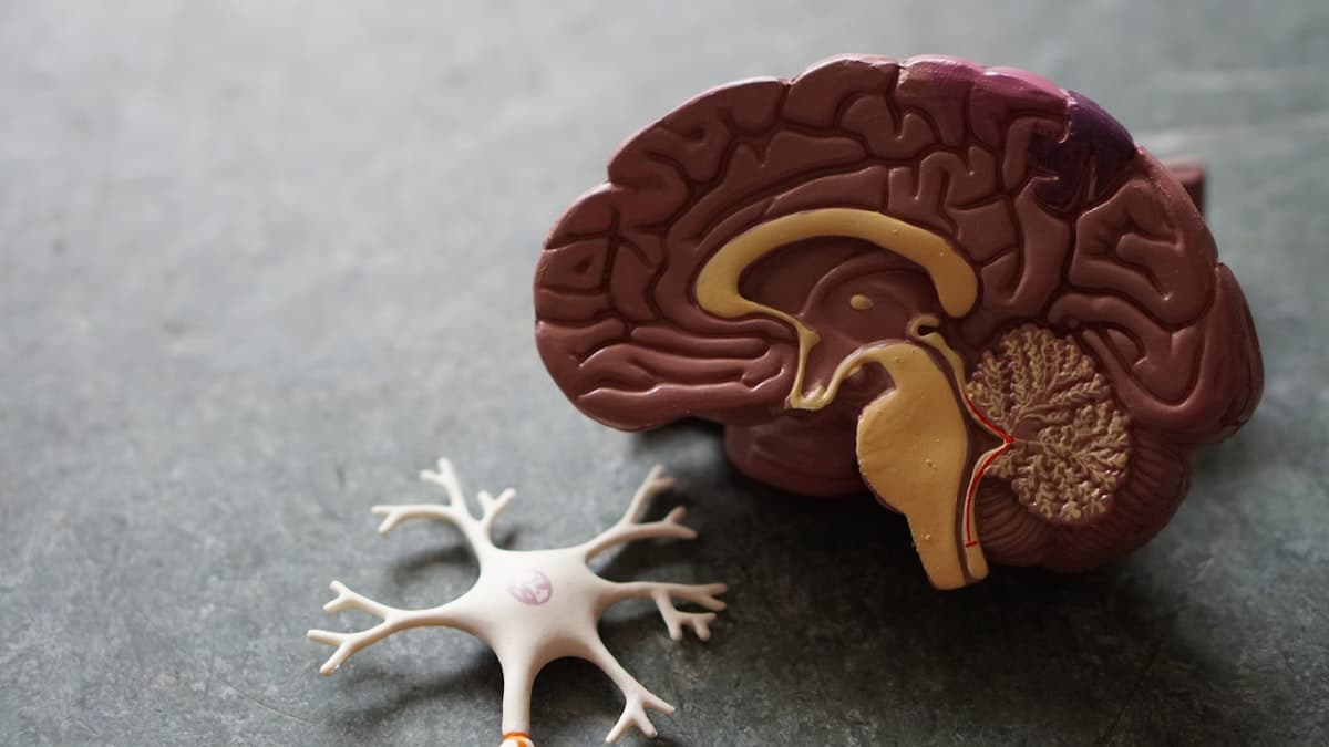 Medicijnen tegen brandend maagzuur: omeprazol, pantoprazol en meer — wat je moet weten
