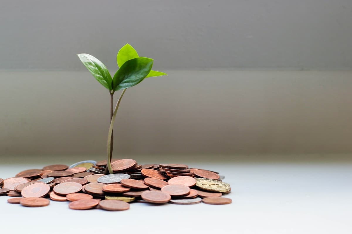 Jak Oszczędzić na Lekach Bez Recepty w 2025 Roku